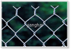 PVC Coated Chain Link Fence