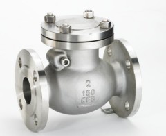 Flange Check Valve