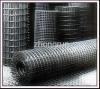 Galvanized Welded Wire Mesh