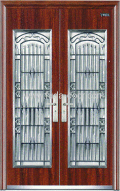 Stainless Steel Front Door