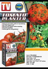tomato planter