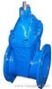 gate valve