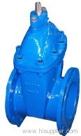 gate valve