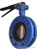 butterfly valve