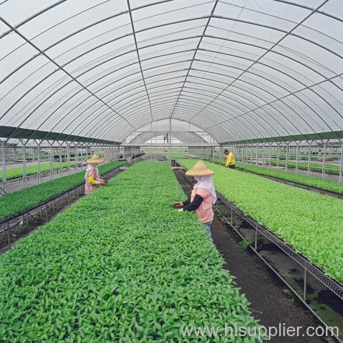 polycarbonate greenhouses