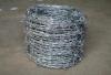 galvanized barbed wire