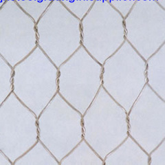 Hexagonal mesh