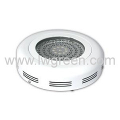 LED Grow Light