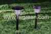 Solar Lawn Lighting