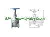 BJV CS flanged gate valve class 300