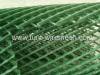 grass protection mesh/plastic wire mesh/plastic net