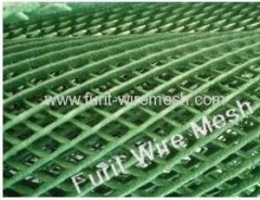 grass protection mesh/plastic wire mesh/plastic net