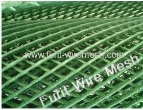 grass protection mesh/plastic wire mesh/plastic net