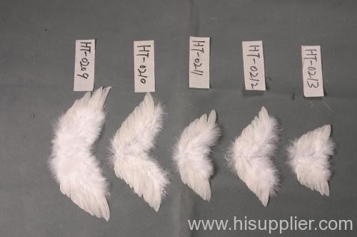 feather wing， angel wing