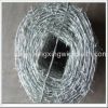 galvanized barbed wire