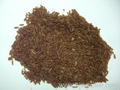 Dragon Blood Rice
