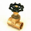 Brass gate valve