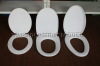 toilet cover mould