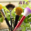 cosmetic brush set