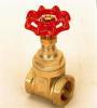 Brass gate valve