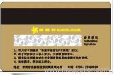 Magnetic stripe card