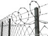 barbed wire