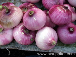 red onion