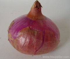 Tiancibao red onion