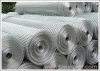 Galvanized Welded Wire Mesh