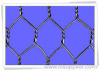 Hexagonal Wire Netting