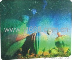 True Color Hologram Sticker