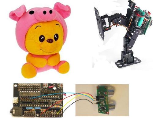Early Learning Robot
