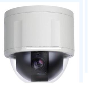 IP Cameras