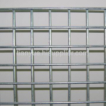 Galvanized Welded Wire Mesh