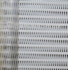 Polyester Spiral Mesh Belt