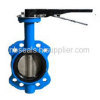 Rubber Lined Butterfly Valves