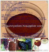 Grape Seed Extract