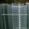 hot dipped galvanized welded mesh