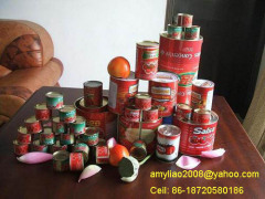 Canned Tomato Paste brix 28-30%