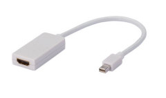 Mini DVI Adapter