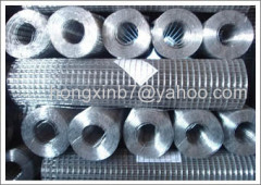 Galvanized Welded Wire Mesh