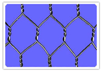Diamond brand hexagonal wire netting
