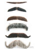 moustache