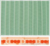 Polyester Press Filter Belt