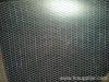 Hexagonal wire mesh