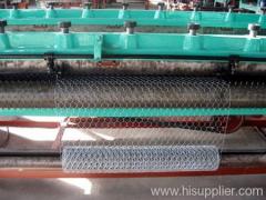 Hexagonal wire mesh