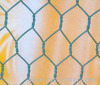 Hexagonal wire netting