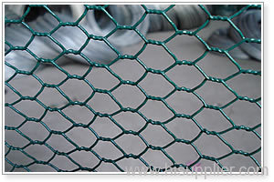 Hexagonal wire netting