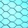 Hexagonal Wire Mesh