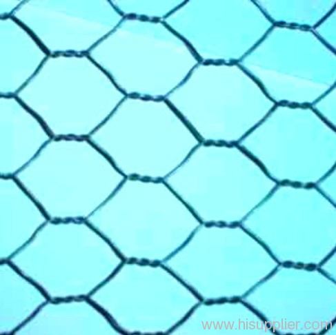 Hexagonal Wire Mesh